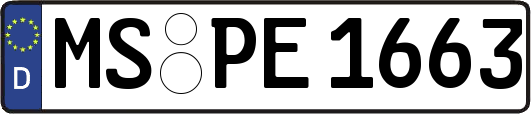 MS-PE1663