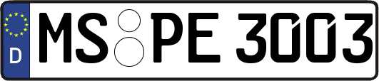 MS-PE3003