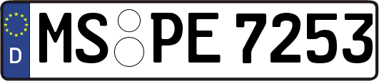 MS-PE7253