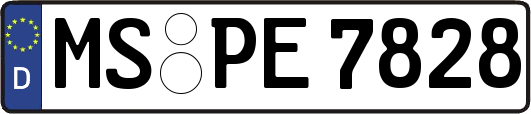 MS-PE7828