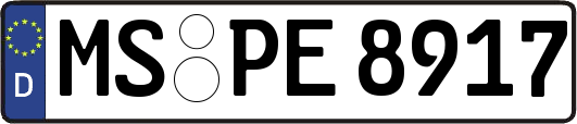 MS-PE8917