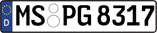 MS-PG8317