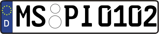 MS-PI0102