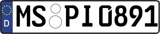 MS-PI0891