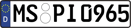 MS-PI0965
