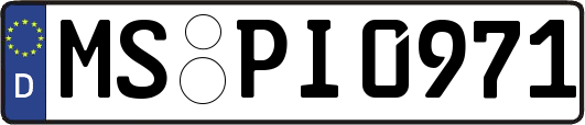 MS-PI0971