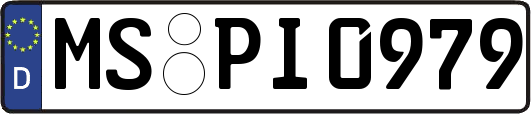 MS-PI0979
