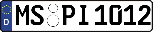 MS-PI1012