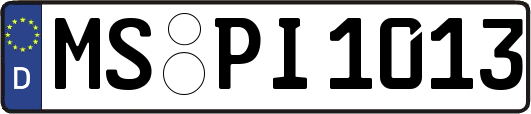 MS-PI1013