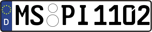 MS-PI1102