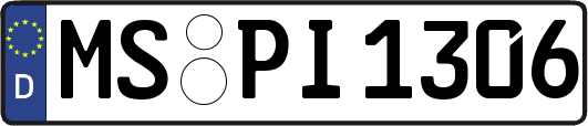 MS-PI1306