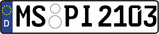 MS-PI2103