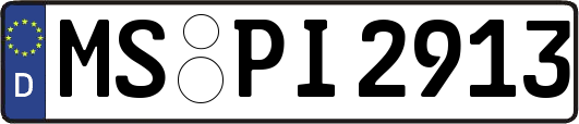 MS-PI2913