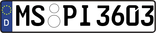 MS-PI3603