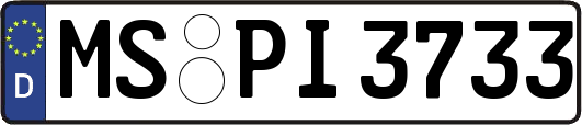 MS-PI3733