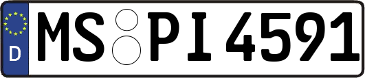 MS-PI4591
