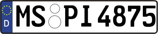 MS-PI4875