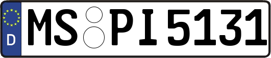 MS-PI5131