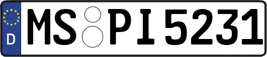 MS-PI5231