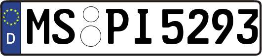 MS-PI5293