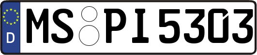 MS-PI5303