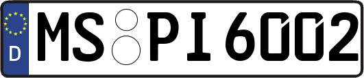 MS-PI6002