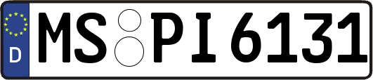 MS-PI6131