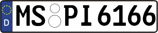 MS-PI6166
