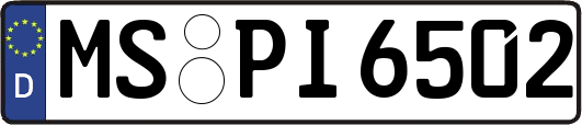MS-PI6502
