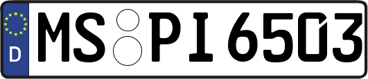 MS-PI6503