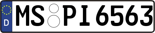 MS-PI6563