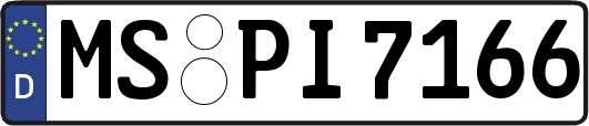 MS-PI7166