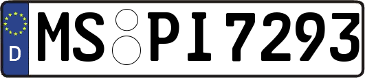 MS-PI7293