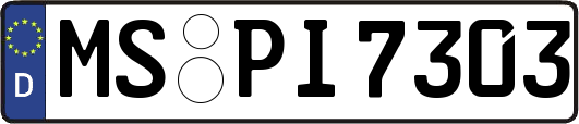 MS-PI7303