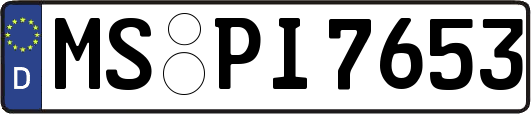 MS-PI7653