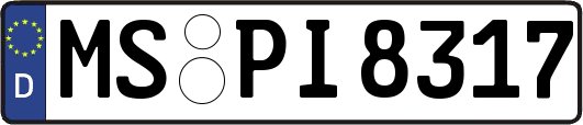 MS-PI8317