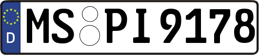 MS-PI9178