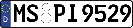 MS-PI9529