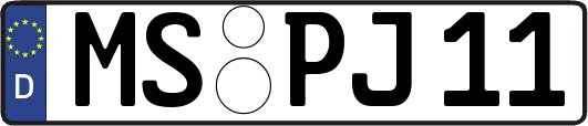 MS-PJ11