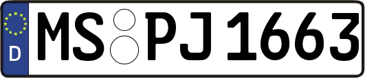 MS-PJ1663
