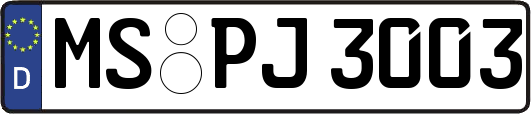 MS-PJ3003