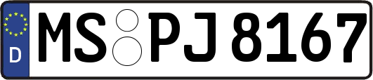 MS-PJ8167