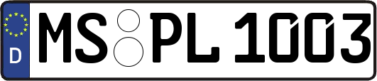 MS-PL1003