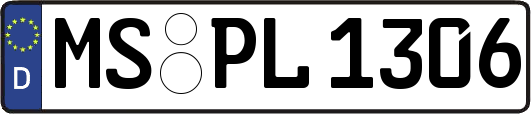 MS-PL1306