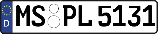 MS-PL5131