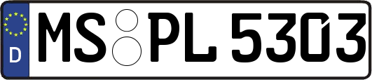 MS-PL5303