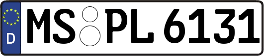 MS-PL6131