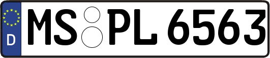 MS-PL6563