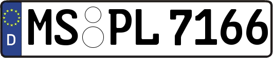 MS-PL7166