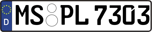 MS-PL7303